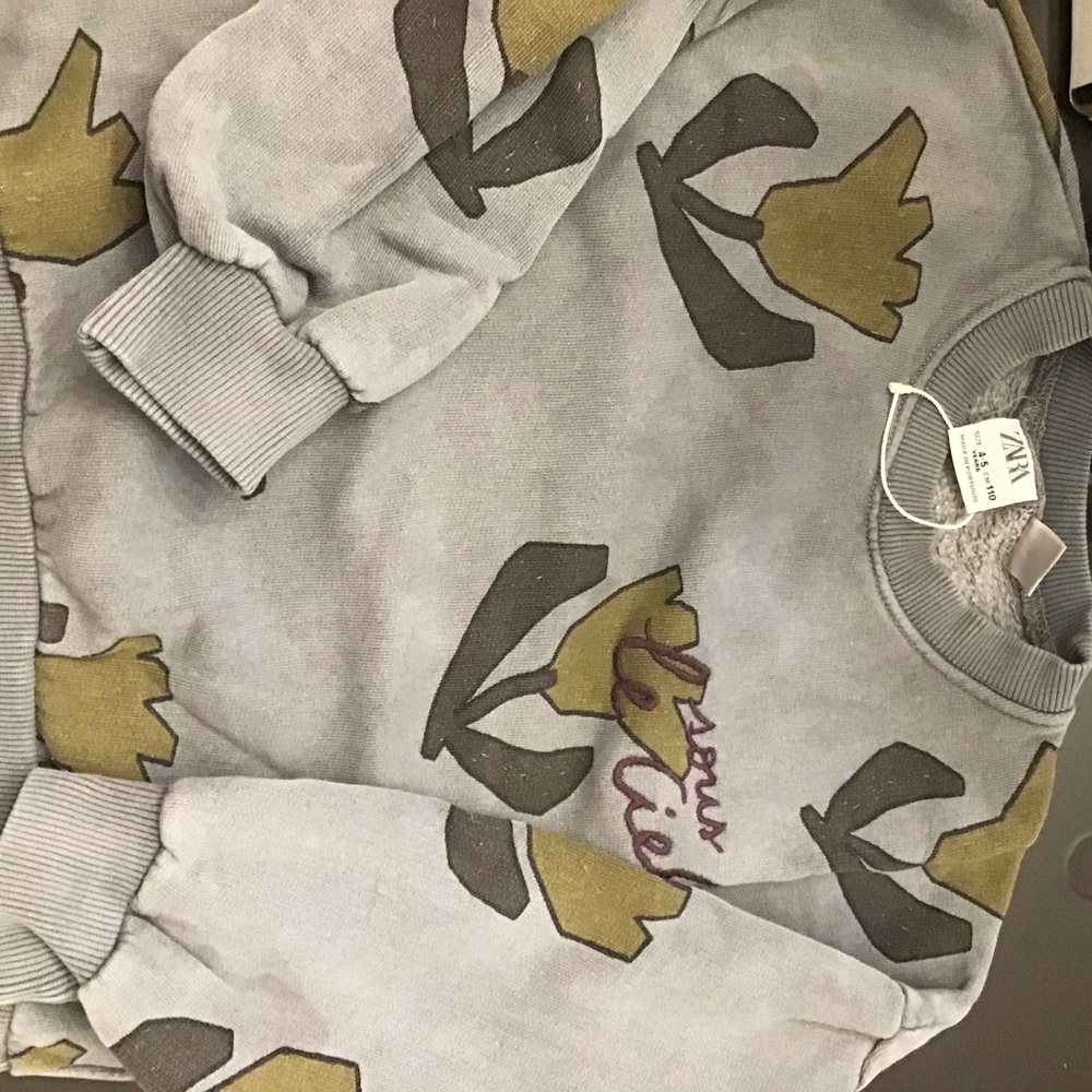 Zara Kids Gray Floral Sweatshirt top
